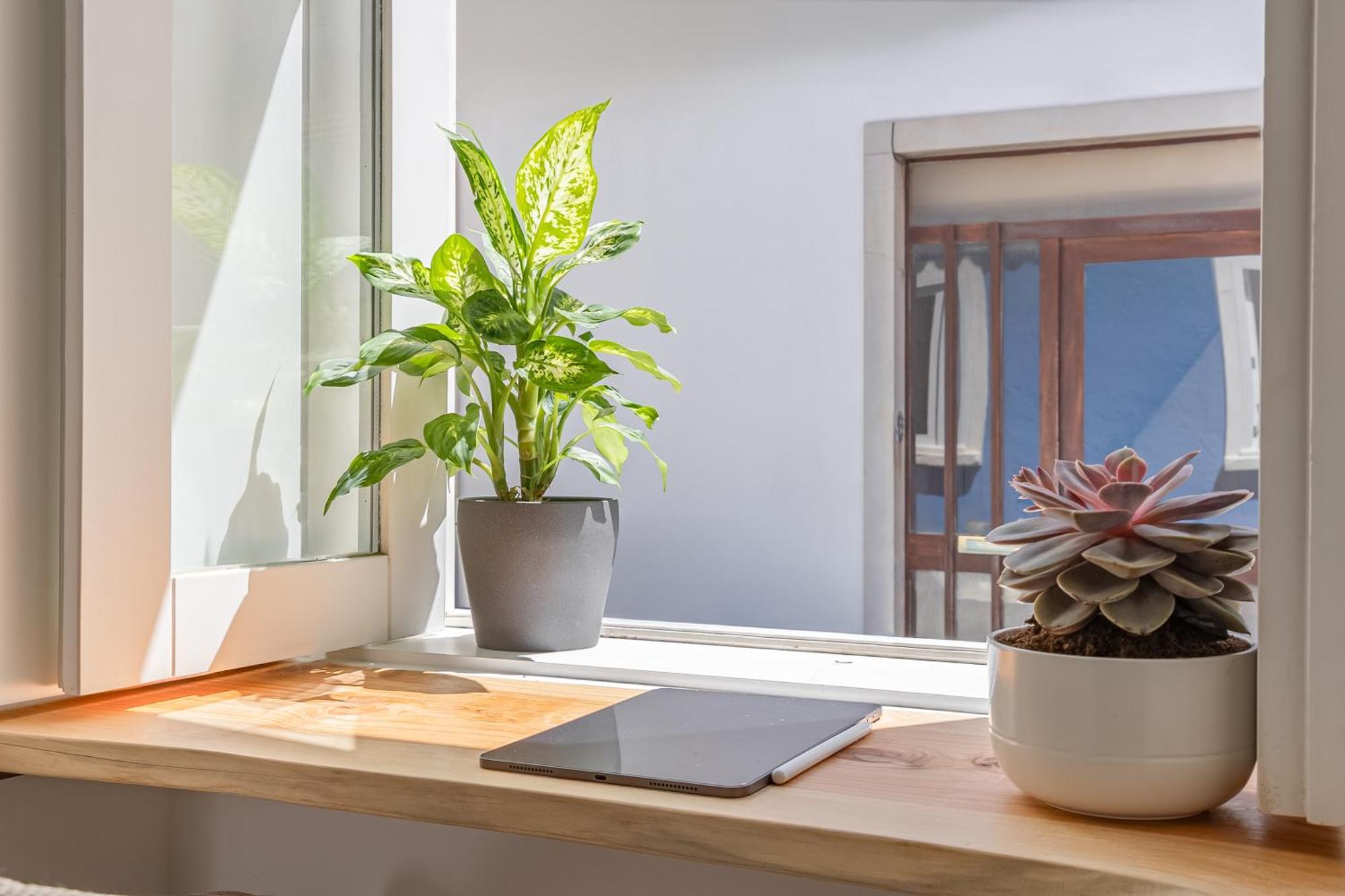 Apartmán Casa Tamar Lagos Exteriér fotografie